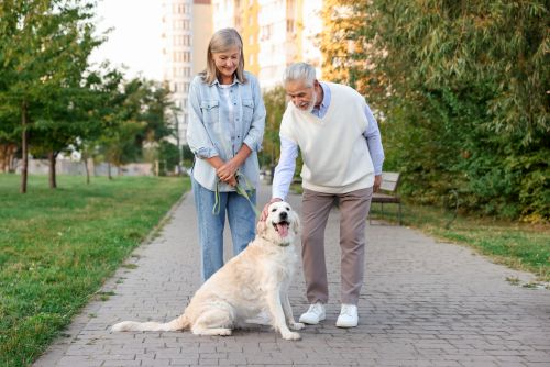Companionship for Elderly in the Algarve (Non-Medical): A Simple Way to Feel Supported at Home